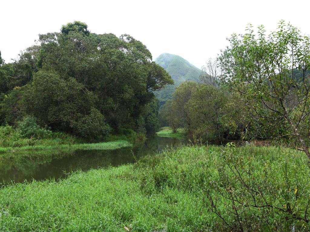Springdale Heritage Thekkady Exterior photo