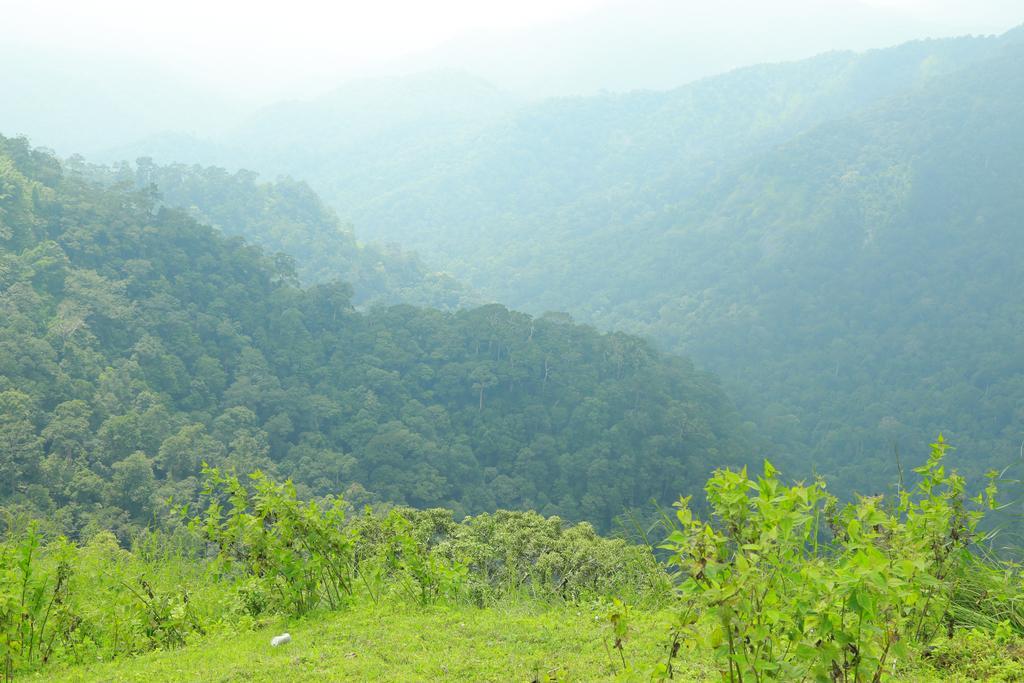 Springdale Heritage Thekkady Exterior photo